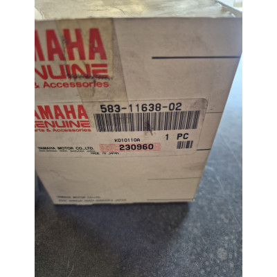 5831163802  PISTON