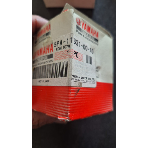 5PA1163100A0  PMISTON