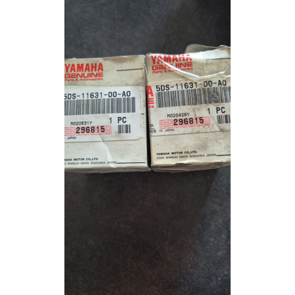 5DS1163100A0  PISTON