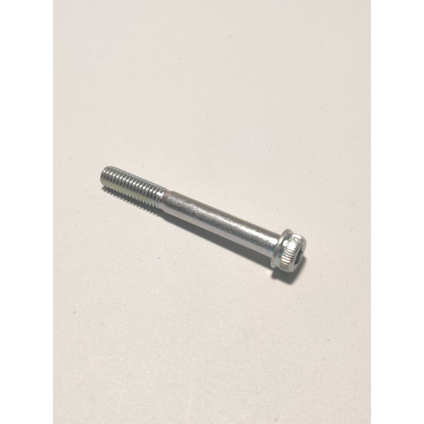 Vis à tête cylindrique six pans creux M6x1 L50
