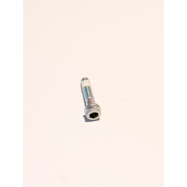 Vis à tête cylindrique hexagonale M6x1 L25 avec frein filet