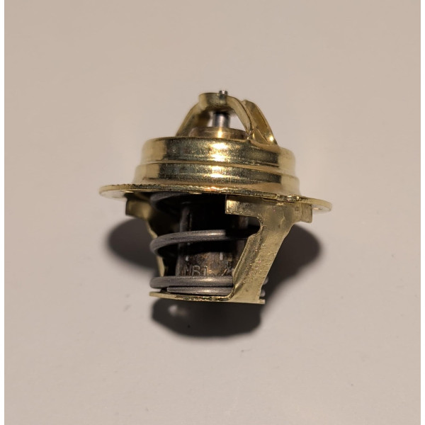Thermostat Behr Thompson